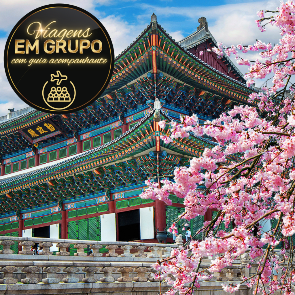 destino-de-viagens-agencia-de-assessoria-e-consultoria-em-viagens-nacionais-e-internacionais-grupos-terceira-idade-viagem-em-grupo-para-coreia-e-singapura-com-ceregeiras