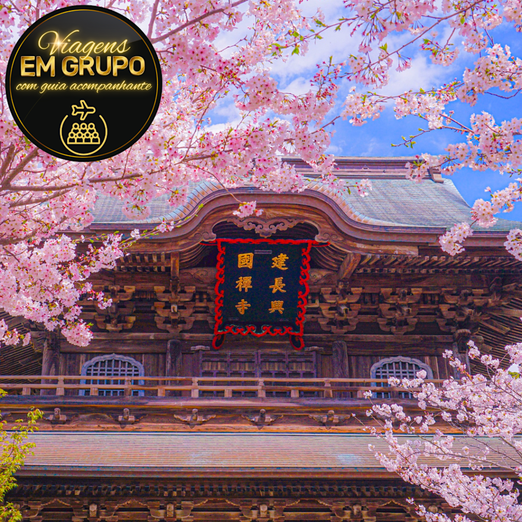 japão-destino-de-viagens-agencia-de-assessoria-e-consultoria-em-viagens-nacionais-e-internacionais-grupos-terceira-idade-viagem-ao-Japão-em-grupo-para-ver-as-cerejeiras.
