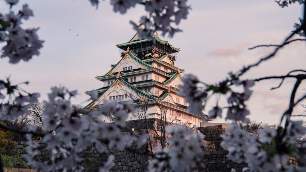 Cerejeiras–ao–redor–do–Castelo–de–Hirosaki–em–Aomori–Japão–HTA–TOUR
