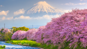 Japão-e-Coreia-do-Sul-um-mergulho-em-cenários-secretos-da-primavera-HTA-TOUR-Agencia-de-viagens.