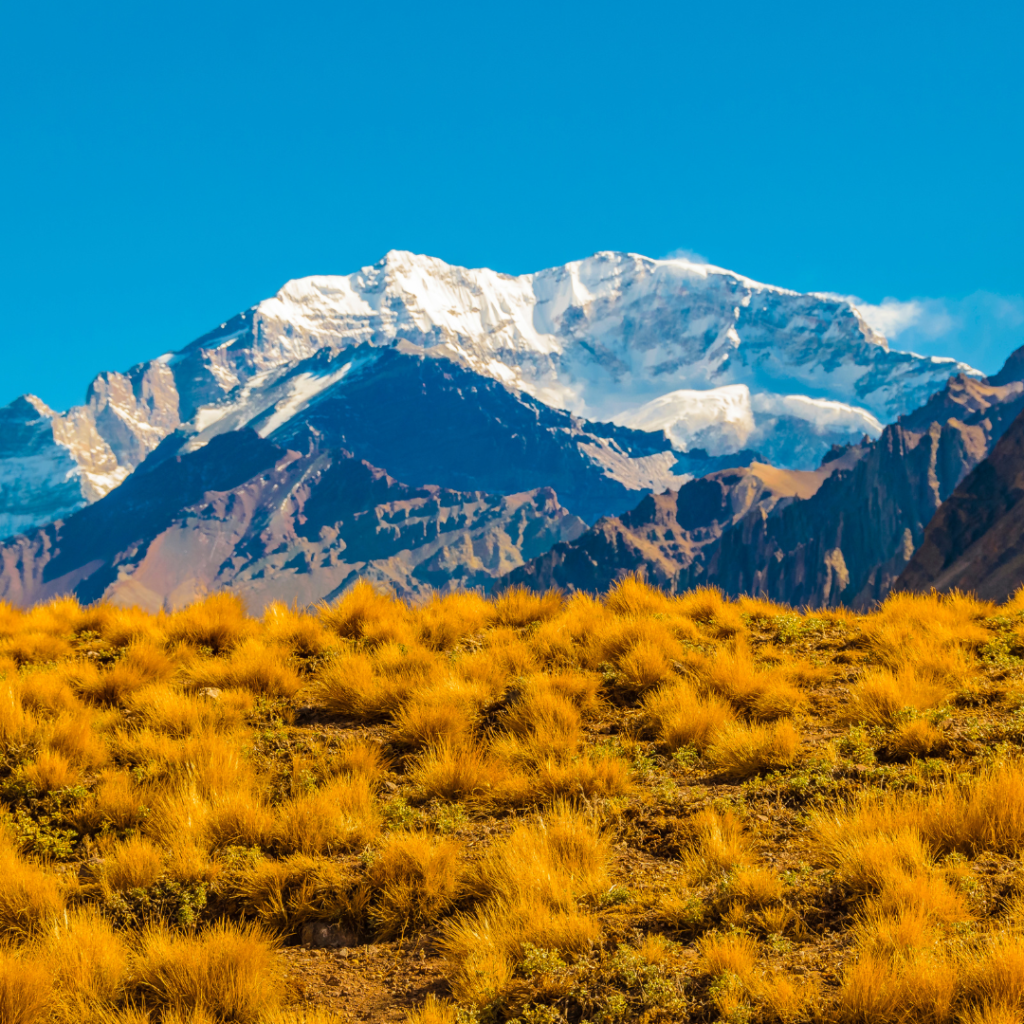 Vinhedos de Mendoza ao pé da Cordilheira dos Andes, iluminados pelo sol. Escapadas.