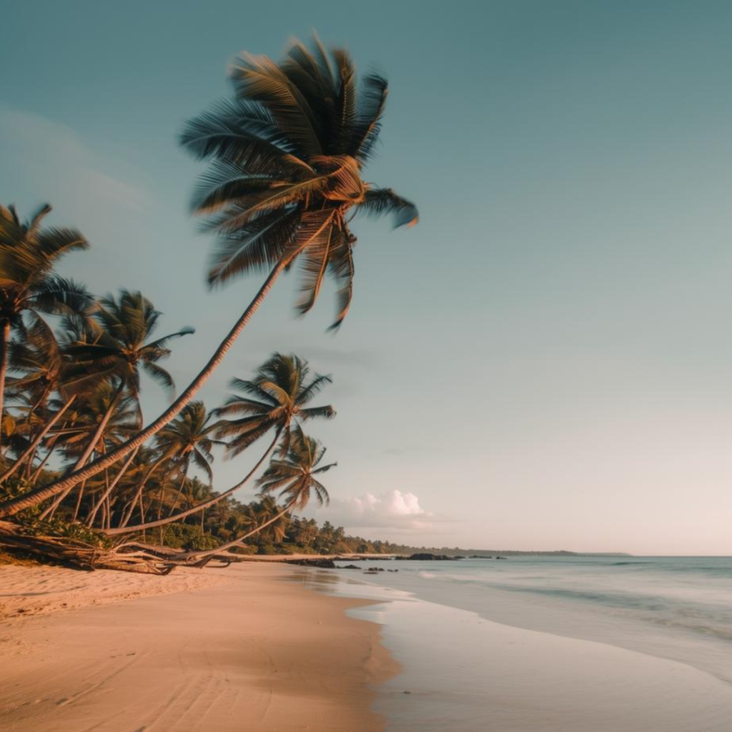 Praia paradisíaca em Maceió com mar cristalino e coqueiros, destacando oportunidades de última hora para viagens.